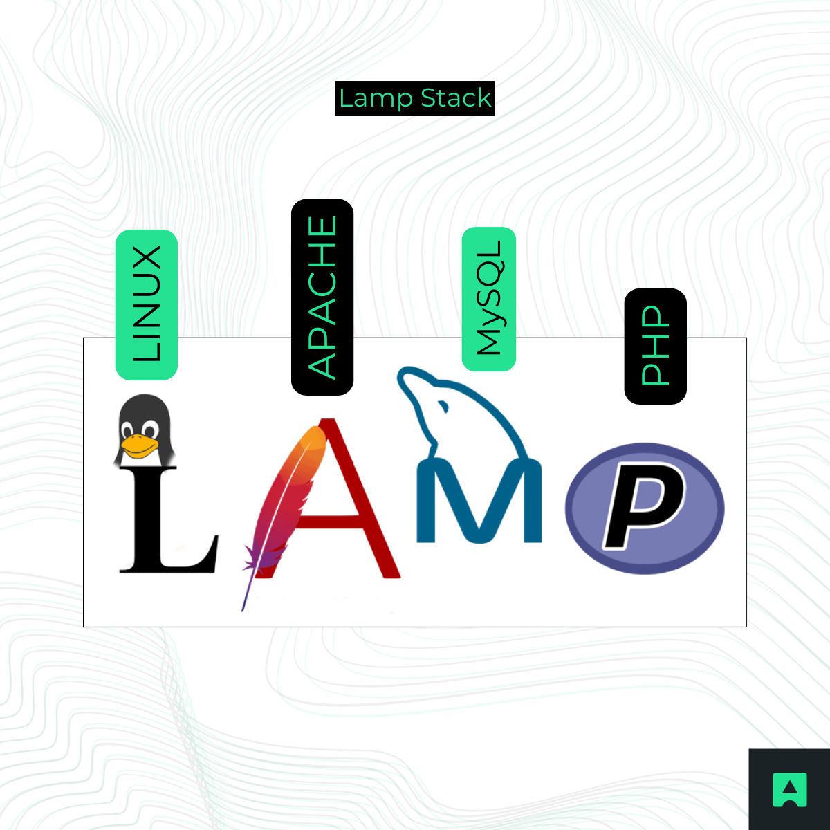 Understanding the Components of the LAMP Stack