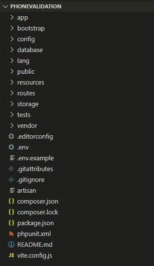 Illustration 5 for How to Check Phone Number Format in PHP Laravel Application