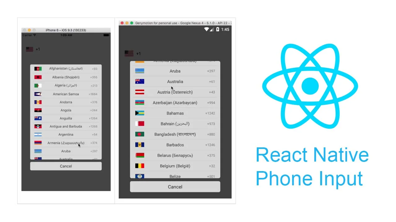 Illustration 5 for Phone Number Validation in React Native