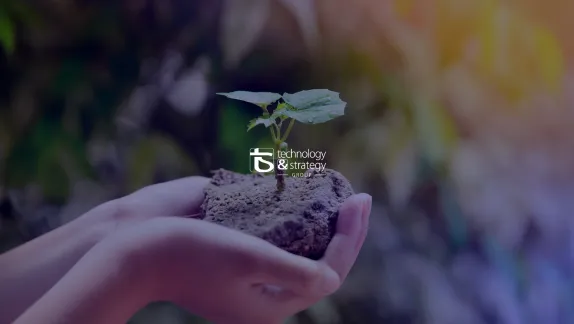 Technology and Strategy Group's positive impact projects for the environment and energy transition