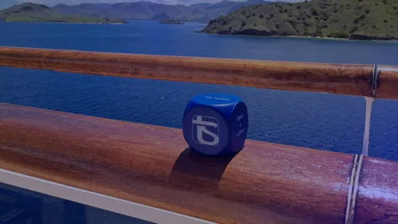 Commissioning of an electric propulsion system by a T&S engineer on a cruise vessel