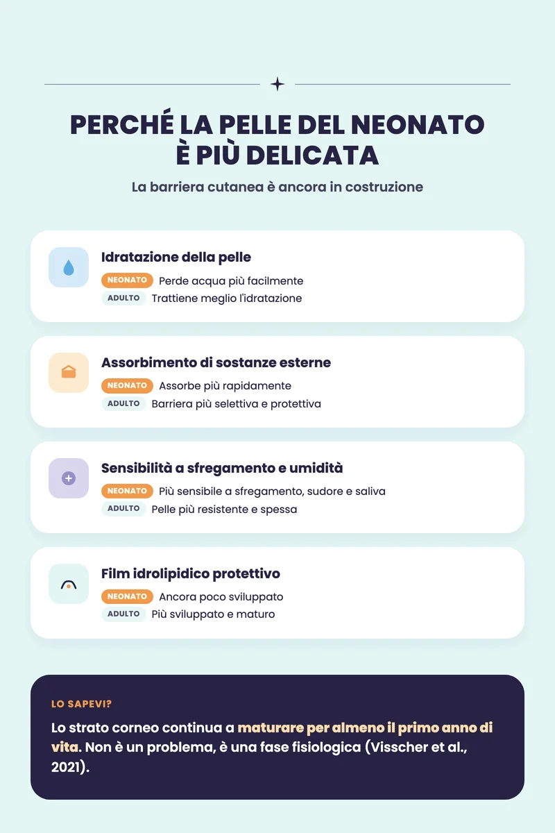 Infografica sulle caratteristiche della pelle delicata del neonato