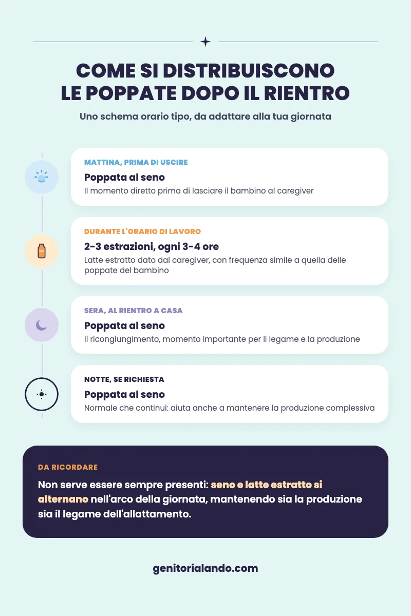 Schema orario delle poppate dopo il rientro al lavoro della mamma