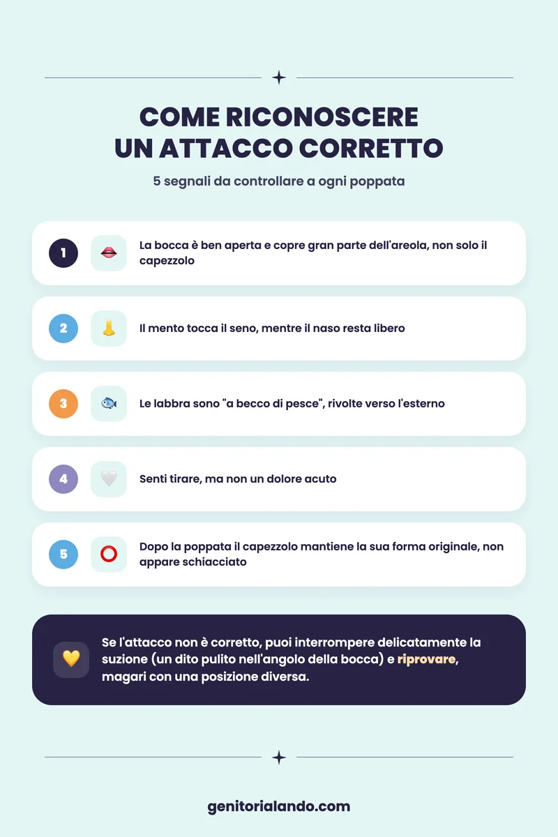 Come riconoscere un attacco corretto del bambino al seno