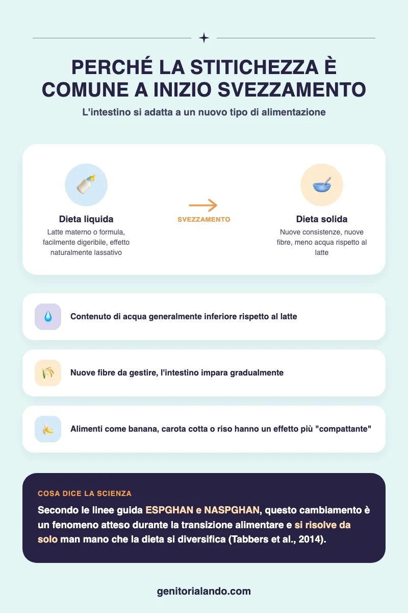Perché la stitichezza è comune all'inizio dello svezzamento del bambino