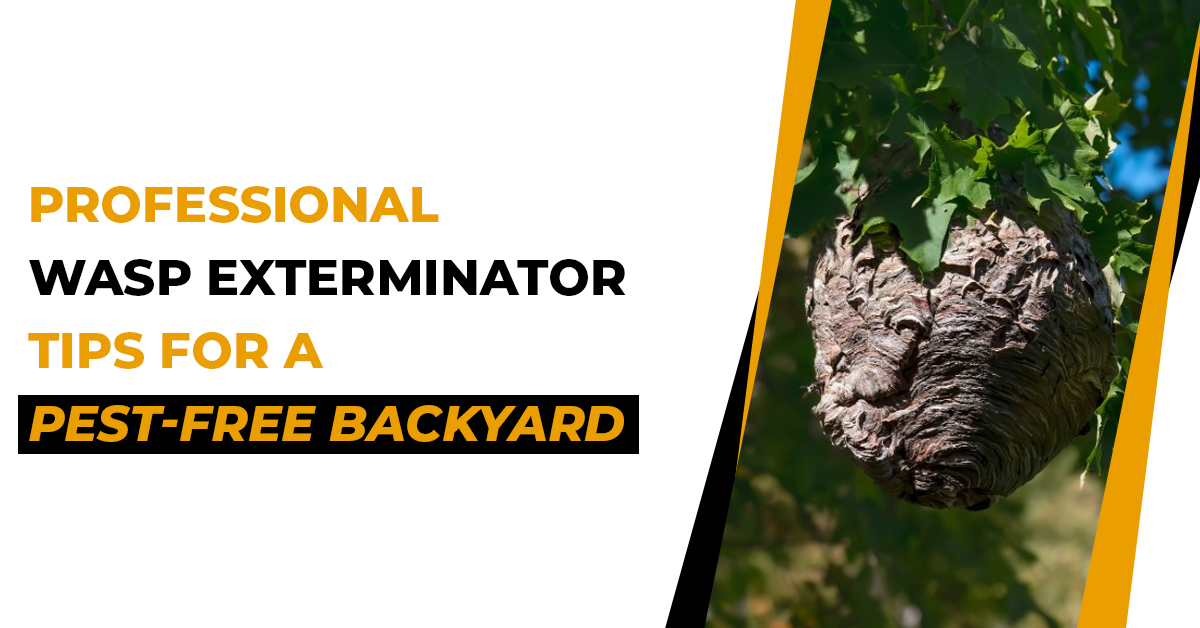 Professional Wasp Exterminator Tips for a Pest-Free Backyard