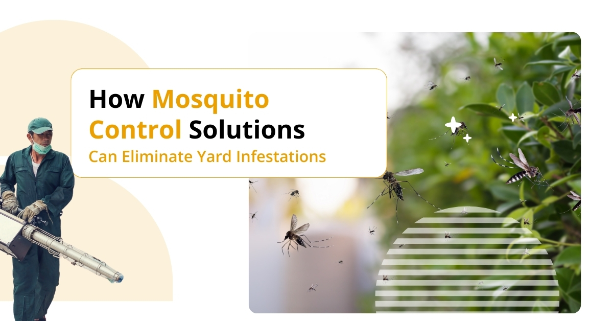 How Mosquito Control Solutions Can Eliminate Yard Infestations