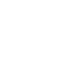 Corporate Excellence