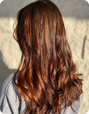 Long wavy hair with rich brown and auburn highlights viewed from the back.