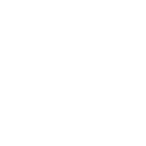Ellerslie AFC