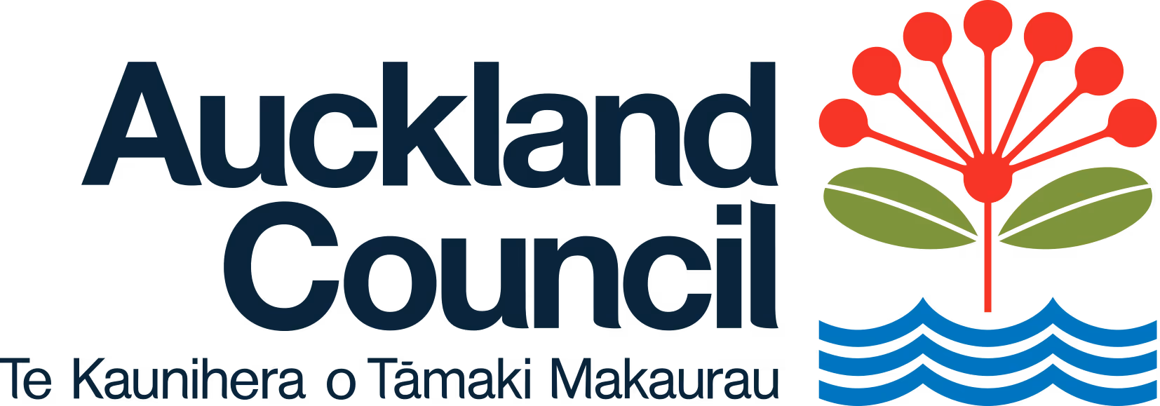 Five NZ approach to organisational transformation