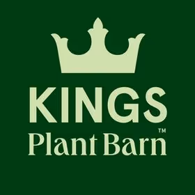 Five NZ approach to organisational transformation