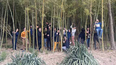 Defacto team in forest