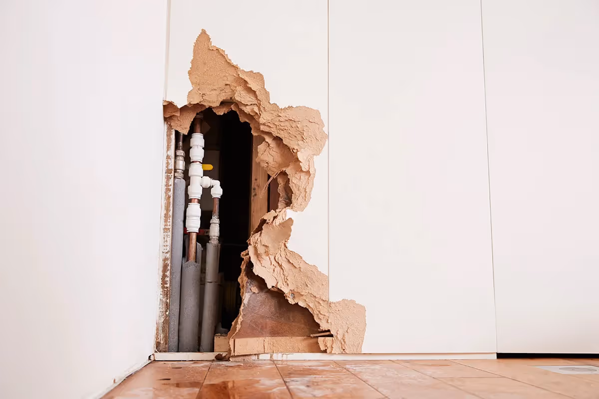 water damaged wall
