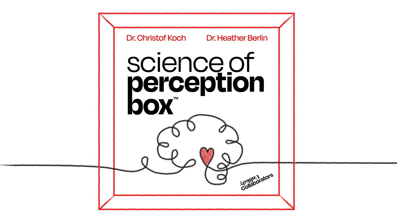 Science of Perception Box Returns for Season Two with Star-Studded Lineup and New Insights into How We Shape Our Reality