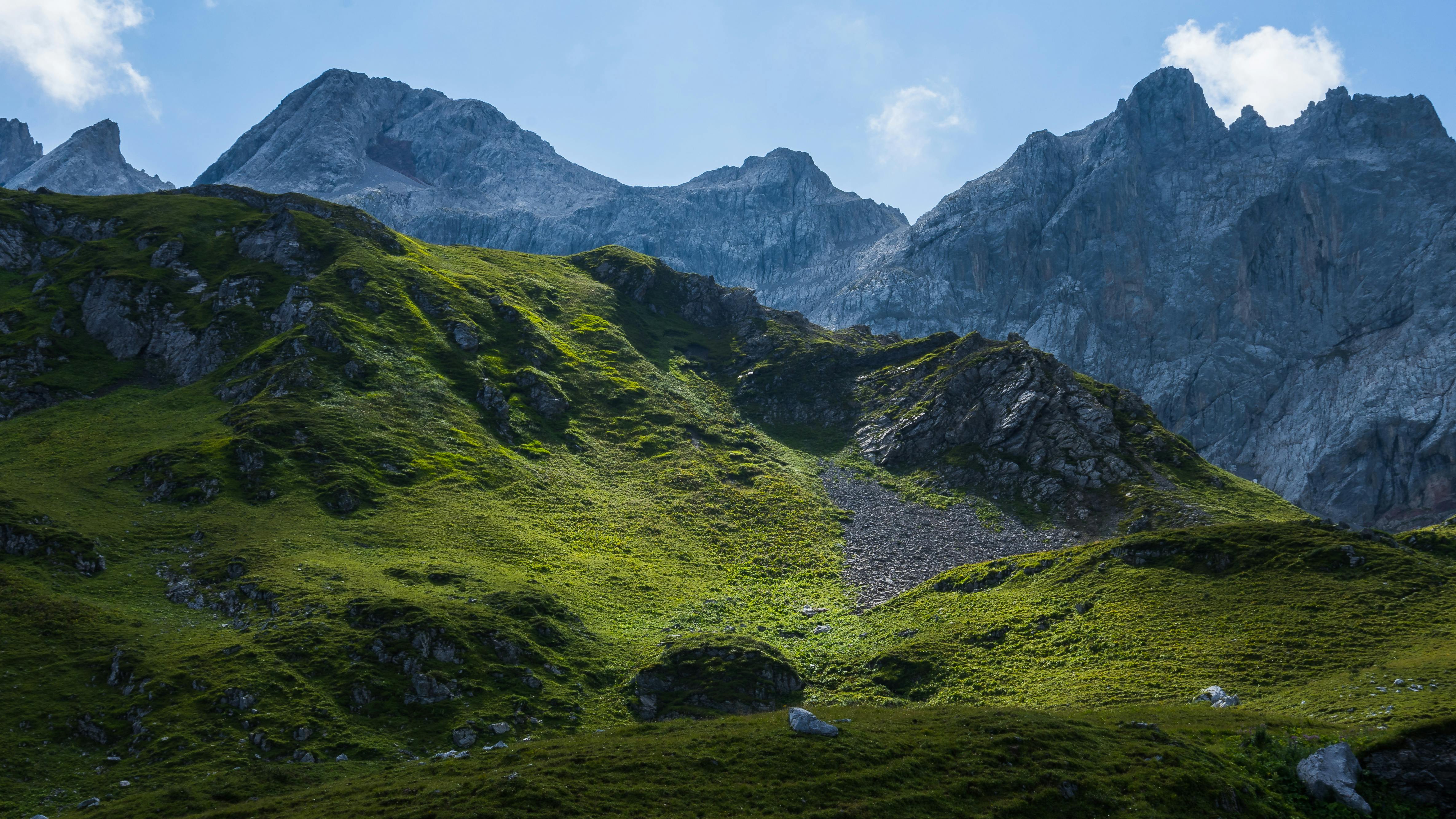 A beautiful alpine landscape with a sunny green grass spot.