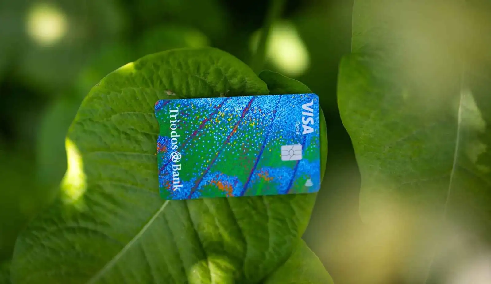 Triodos Bank Visa debit card on a green leaf encouraging sustainable banking practices