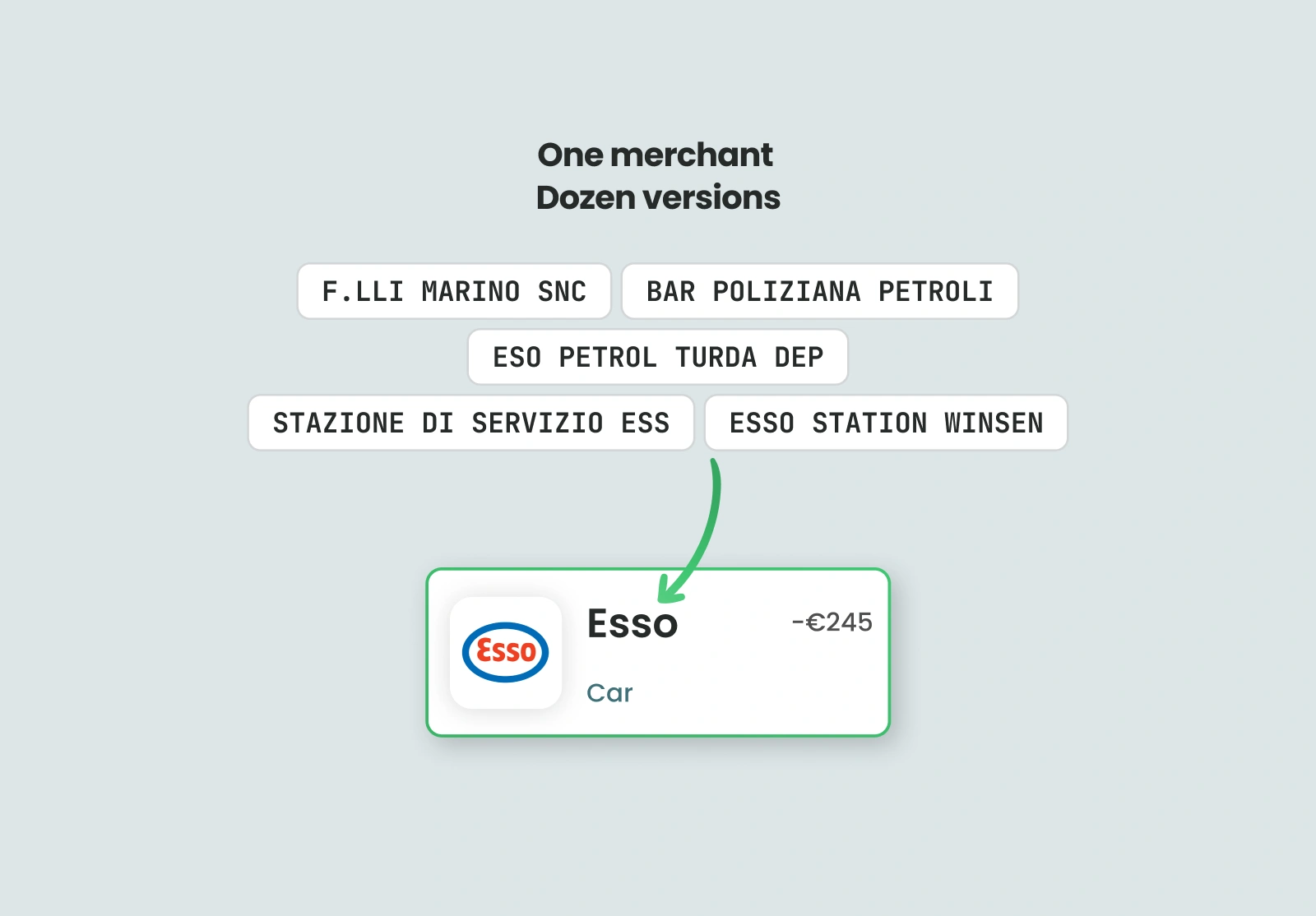 Multiple raw descriptors resolved to a single Esso merchant identity