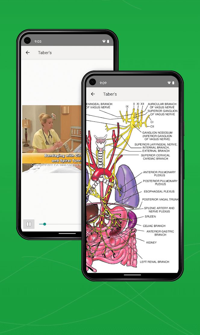 Taber’s Medical Dictionary