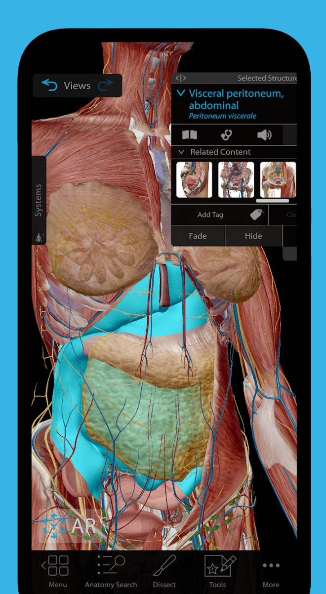 Human Anatomy Atlas 2023