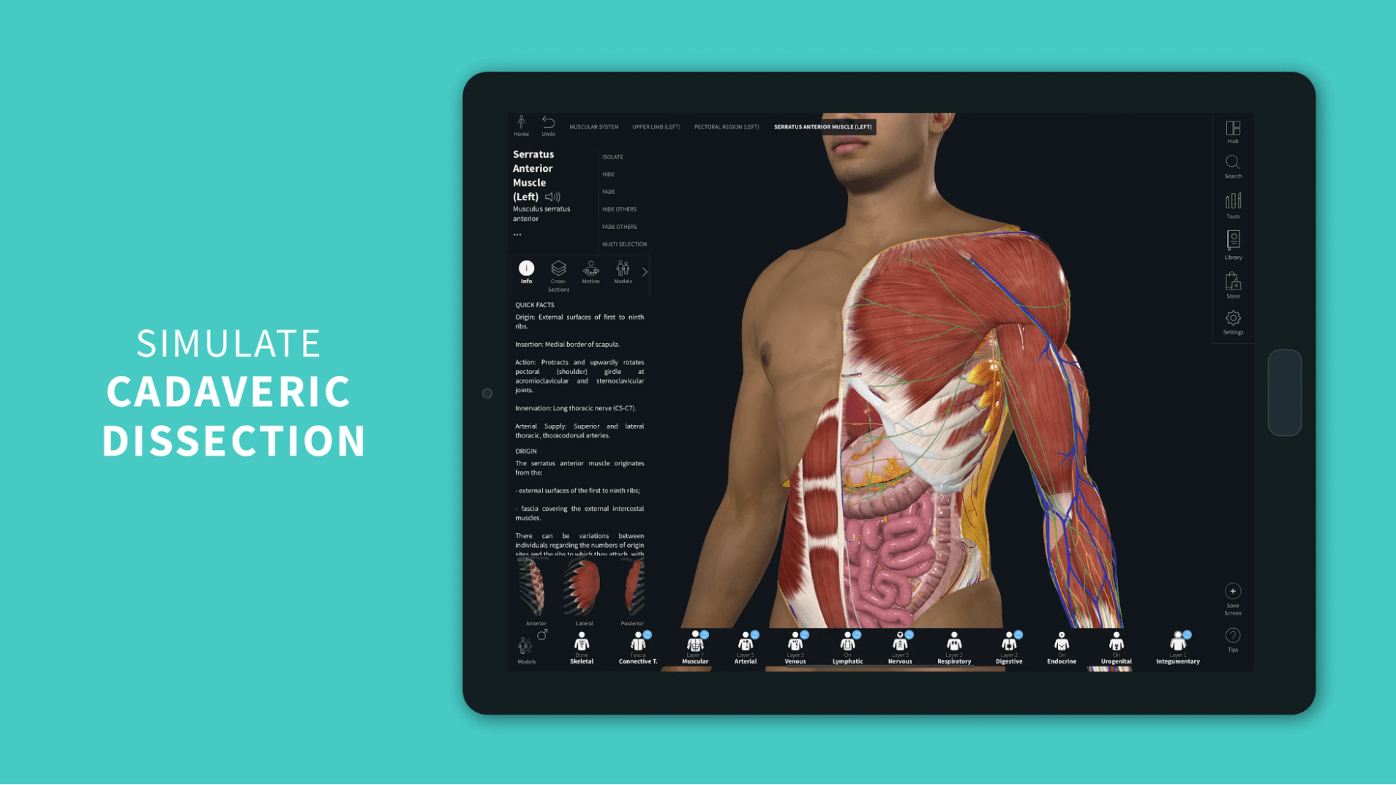 Complete Anatomy 2023