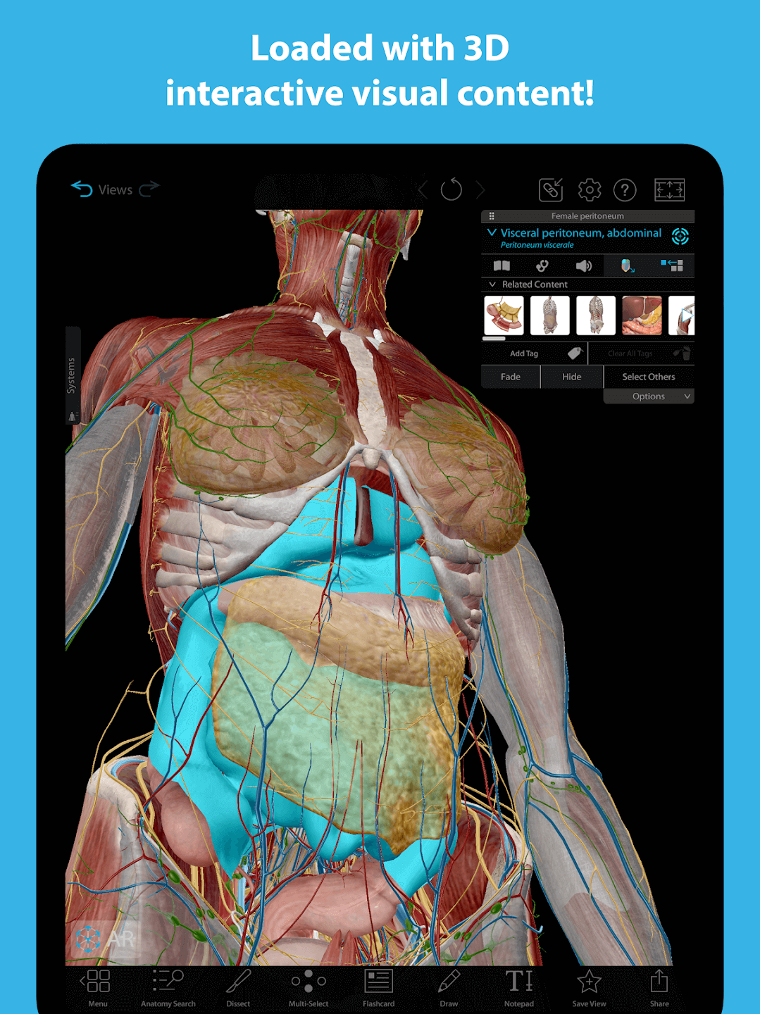 Human Anatomy Atlas 2023
