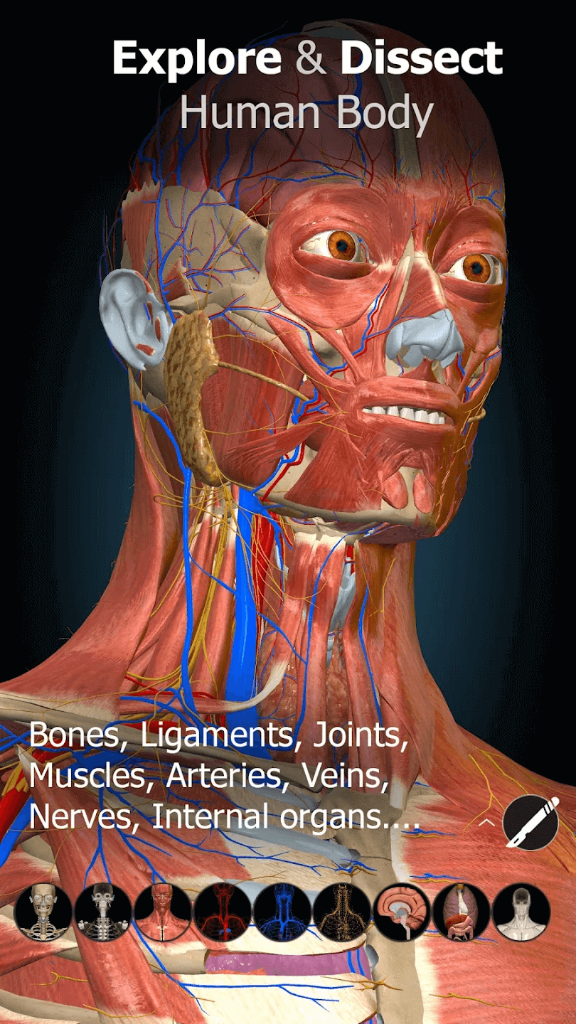 Anatomy Learning - 3D Anatomy