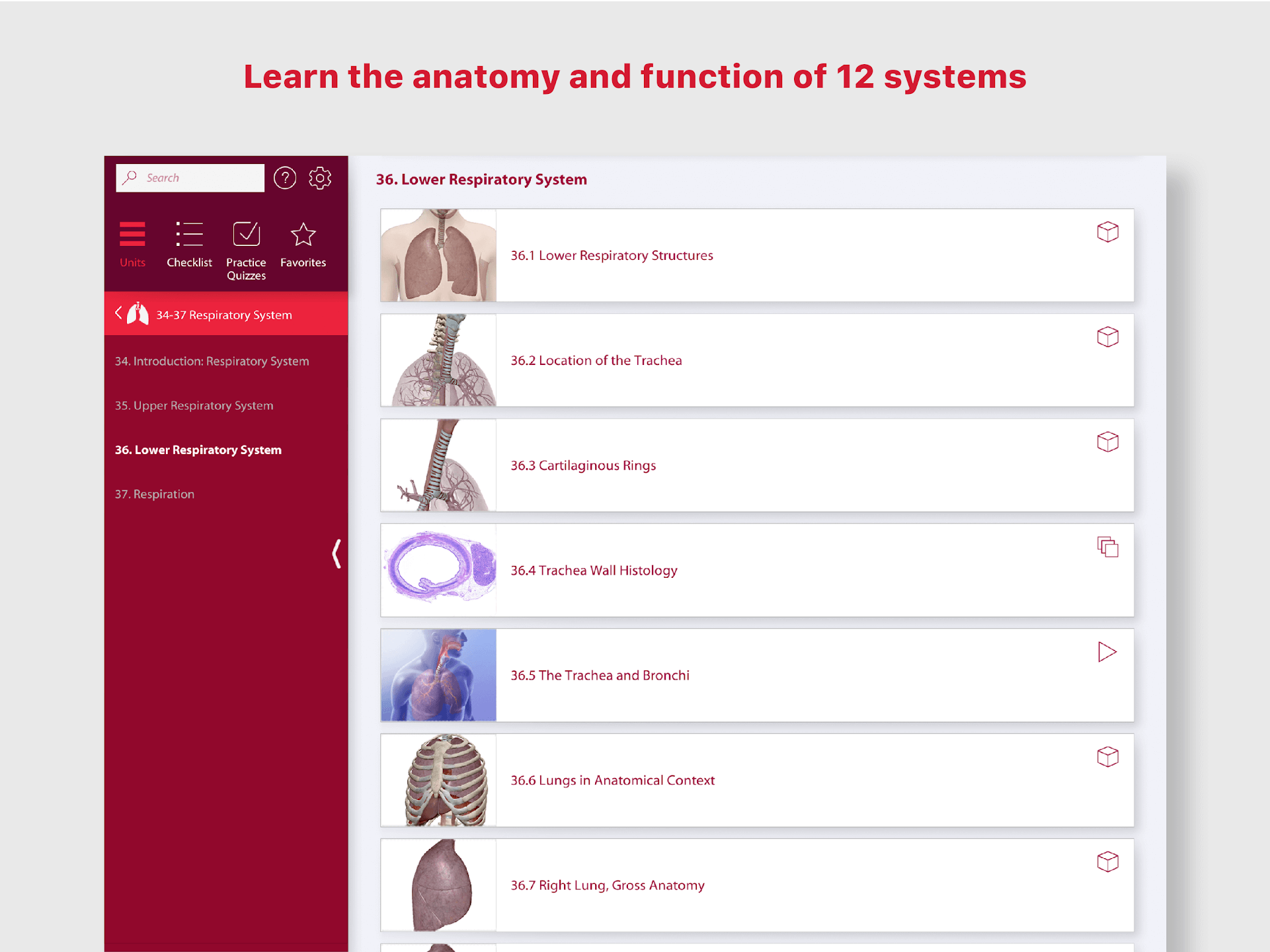 Anatomy & Physiology