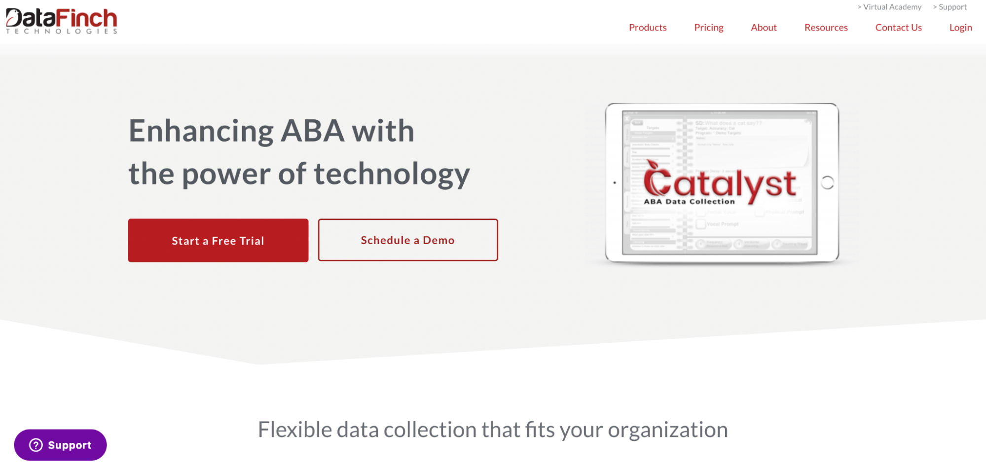 Catalyst - DataFinch Technologies