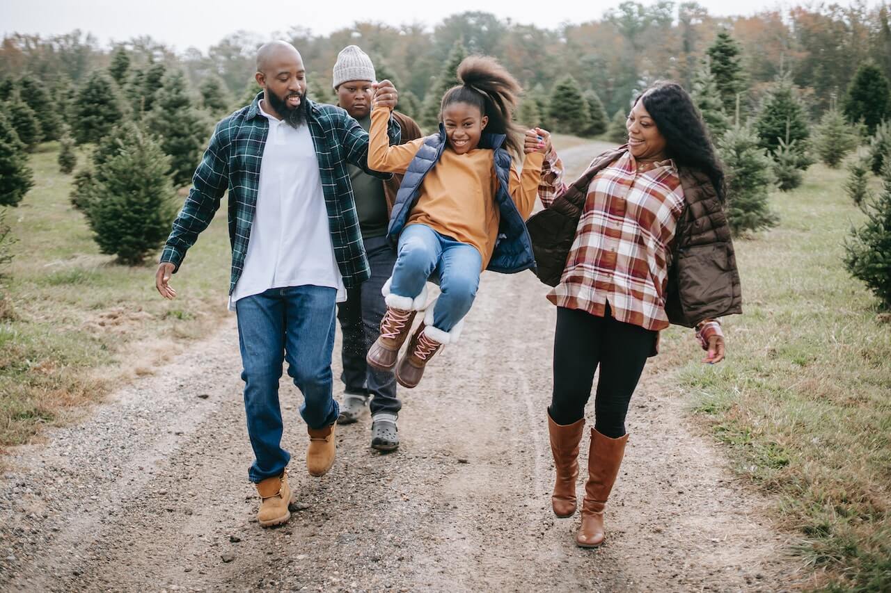 Family Systems Therapy
