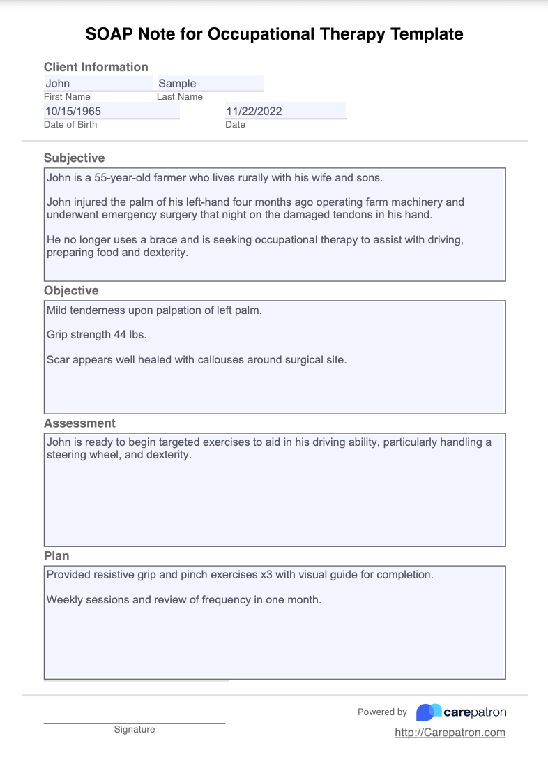 SOAP Notes For Occupational Therapy Example