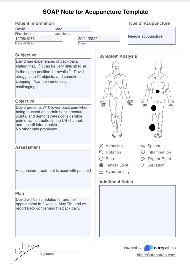 Acupuncture SOAP Note Example (Sample)