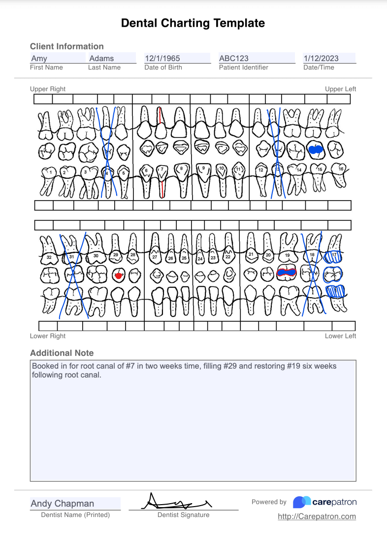 Dental Charting Example (Sample)