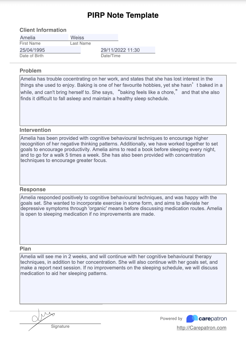 PIRP Notes Example (Sample)