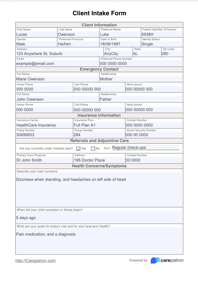 Client Intake Form Example (Sample)