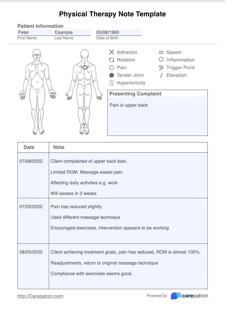 Physical Therapy Note Example
