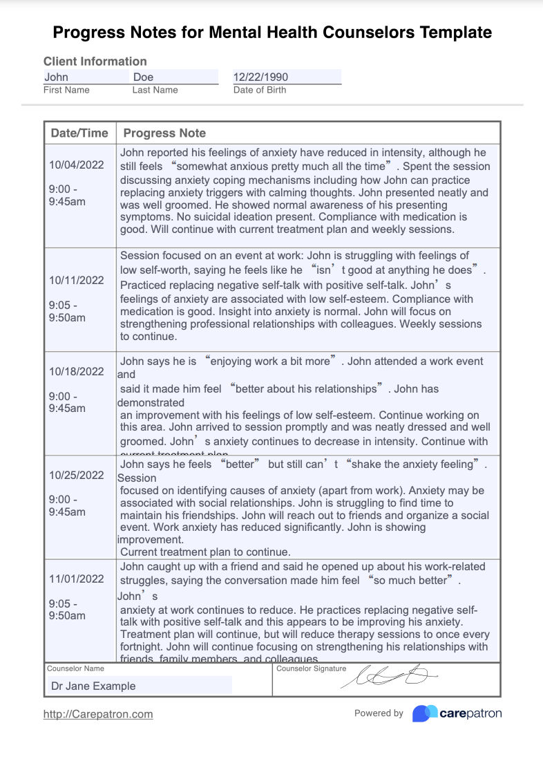 Mental Health Counselors Progress Notes Example (Sample)