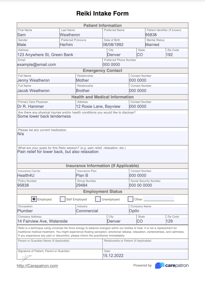 Reiki Intake Form Example (Sample)