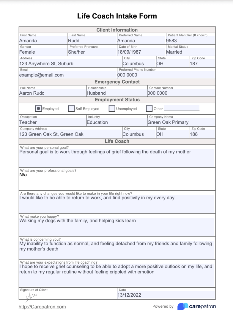 Life Coach Intake Form Example (Sample)