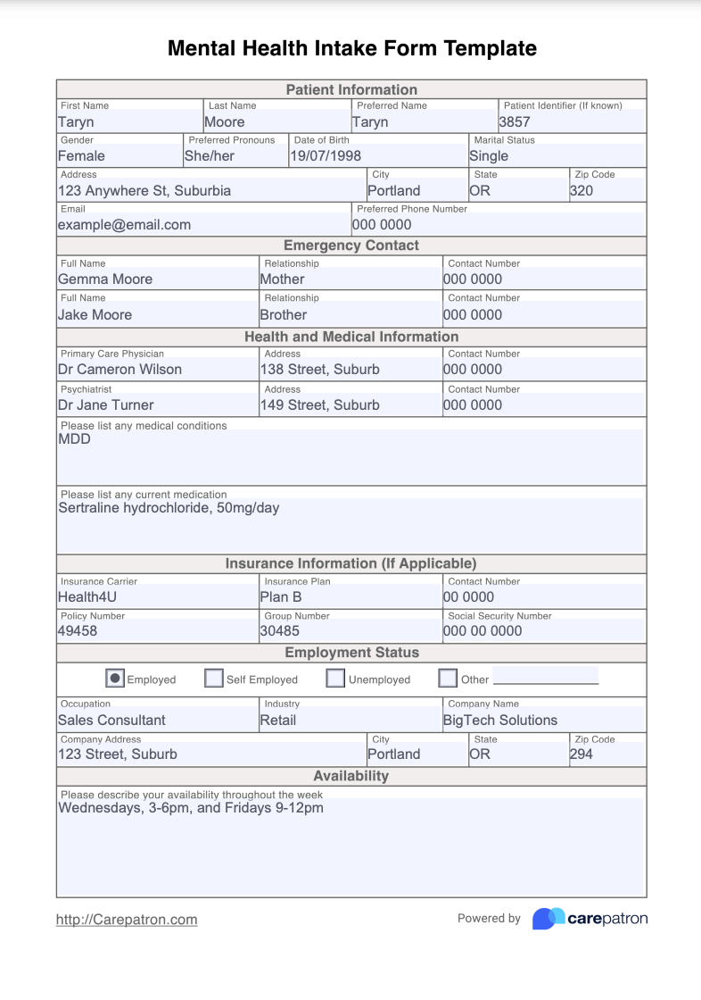 Mental Health Intake Form Example (Sample)