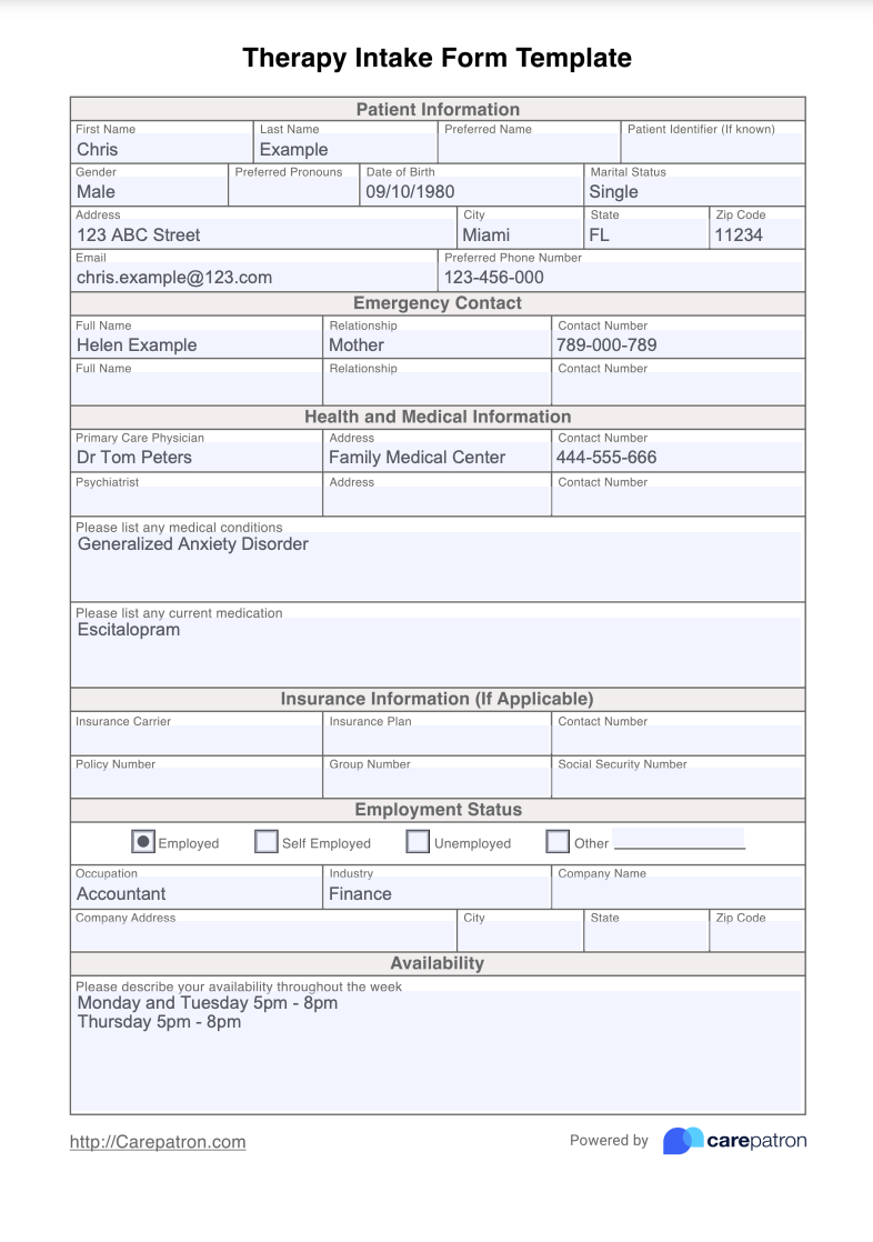 Therapy Intake Form Example (Sample)