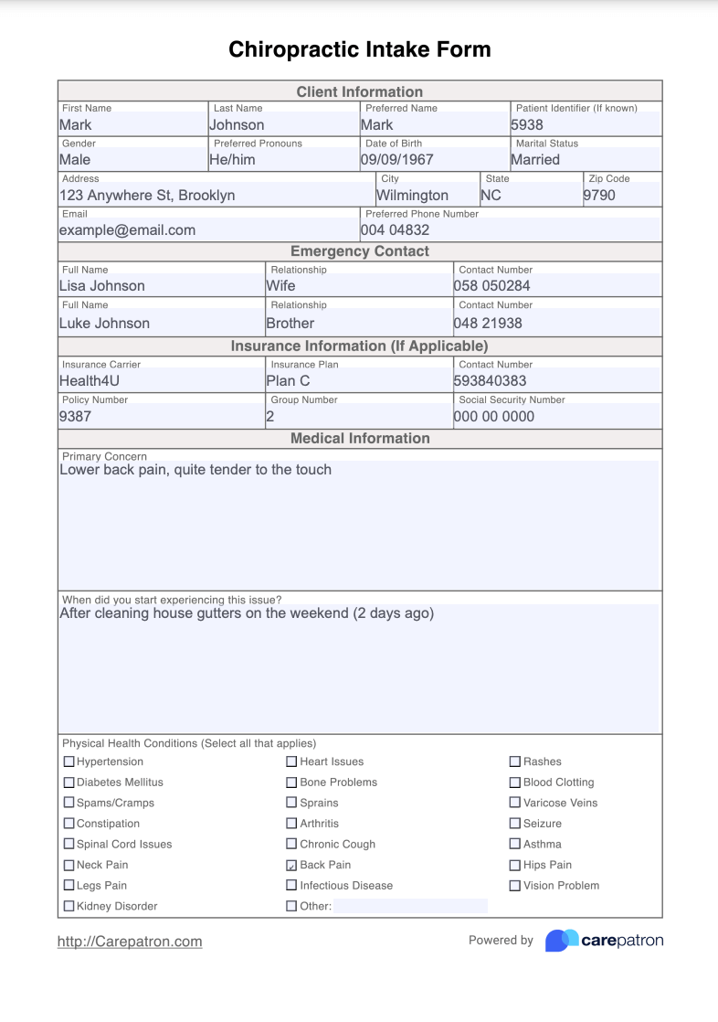 Chiropractic Intake Form Example (Sample)