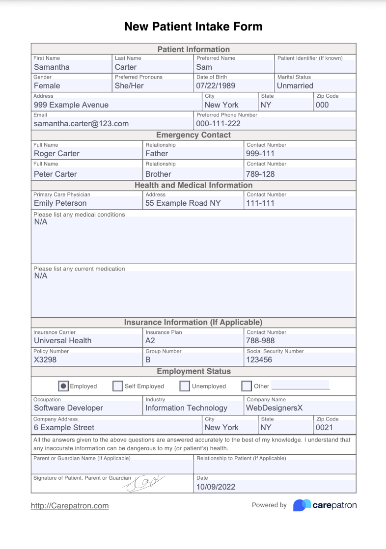 New Patient Intake Form Example (Sample)