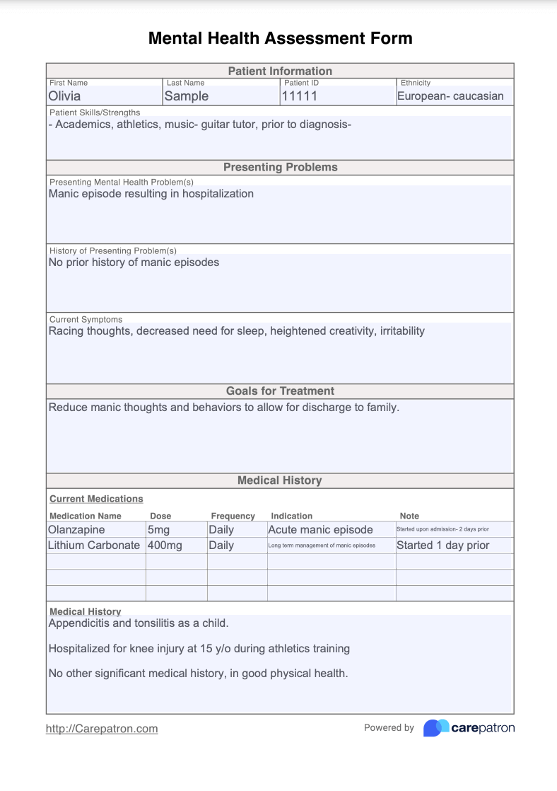 Mental Health Assessment Form Example (Sample)