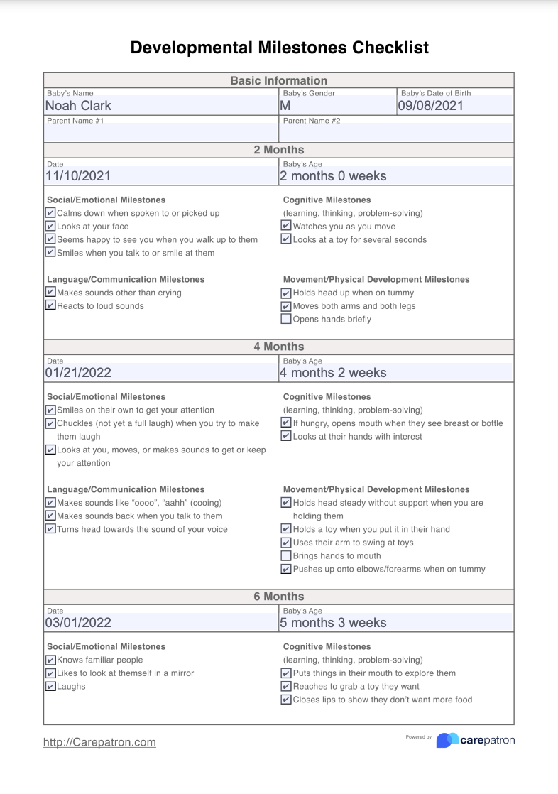 Developmental Milestones Checklist Example (Sample)