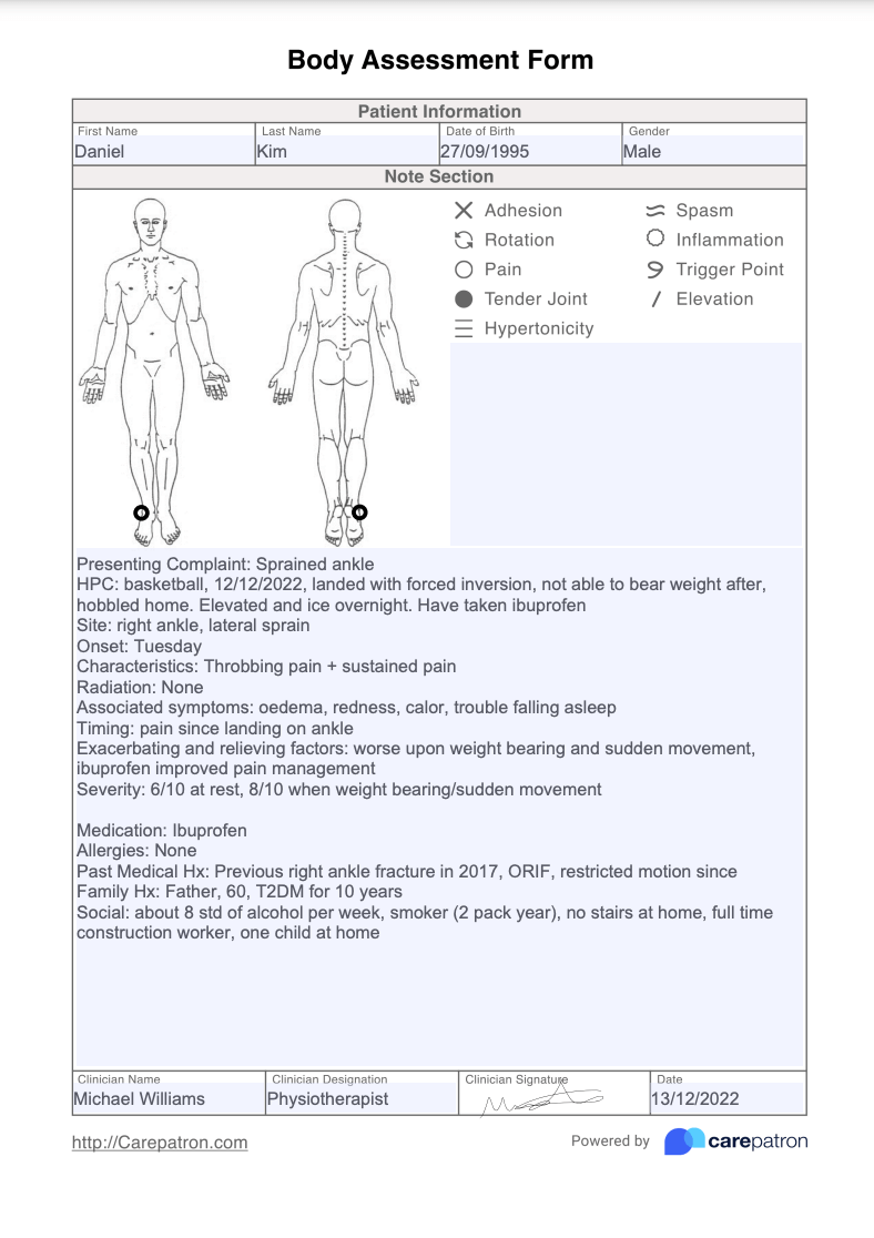 Body Assessment Form Example (Sample)