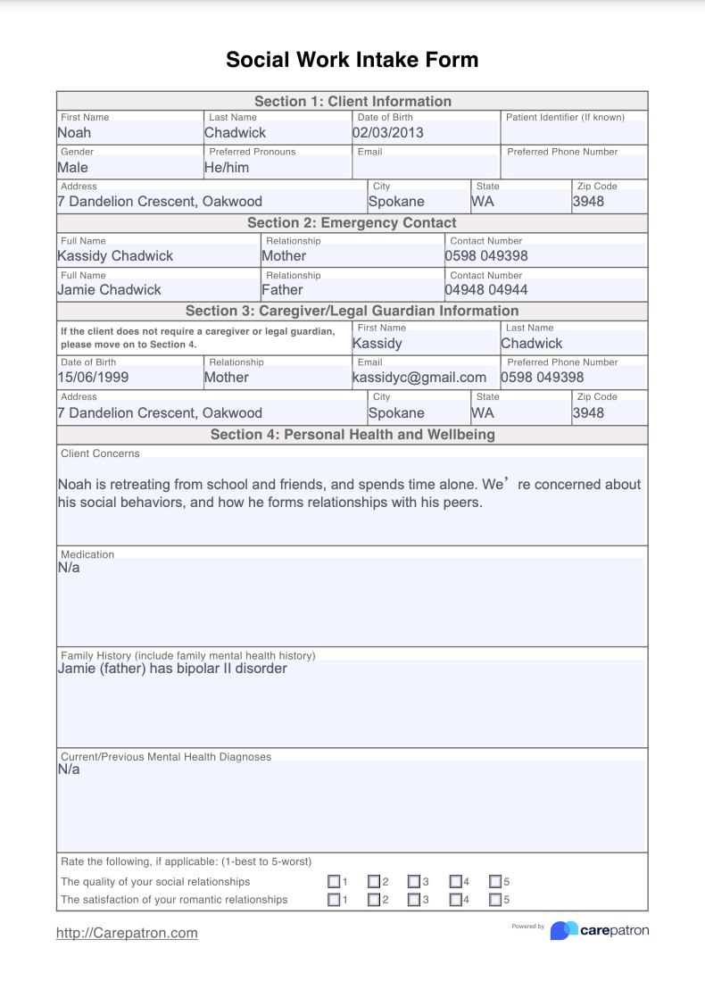 Social Work Intake Form Example (Sample)