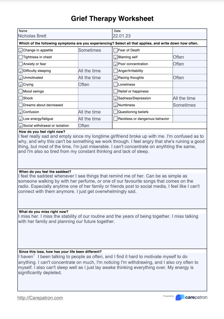 Grief Therapy Worksheet Example (Sample)