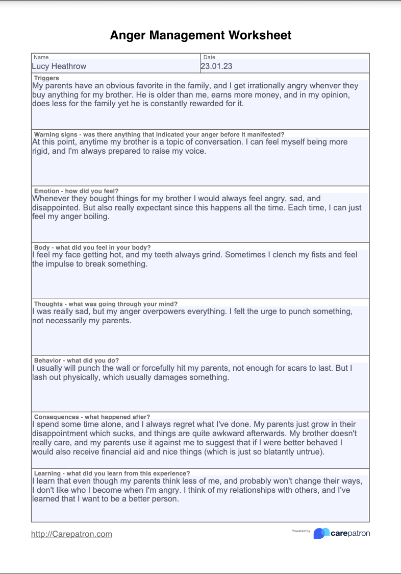 Anger Management Worksheet Example (Sample)