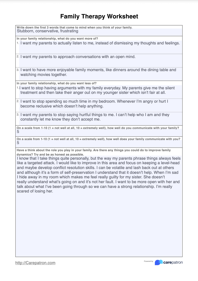 Family Therapy Worksheet Example (Sample)